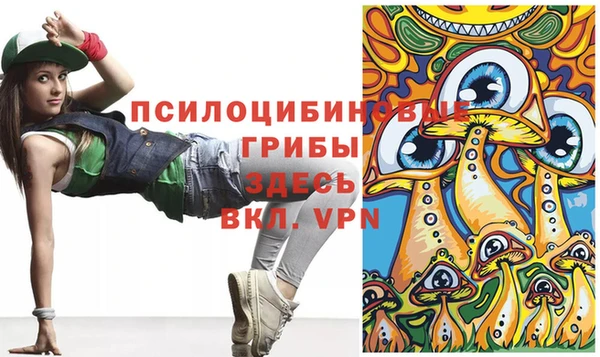 PSILOCYBIN Балахна