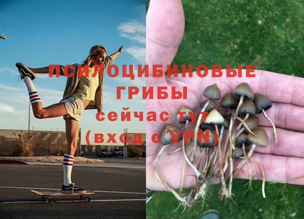 бошки Балабаново